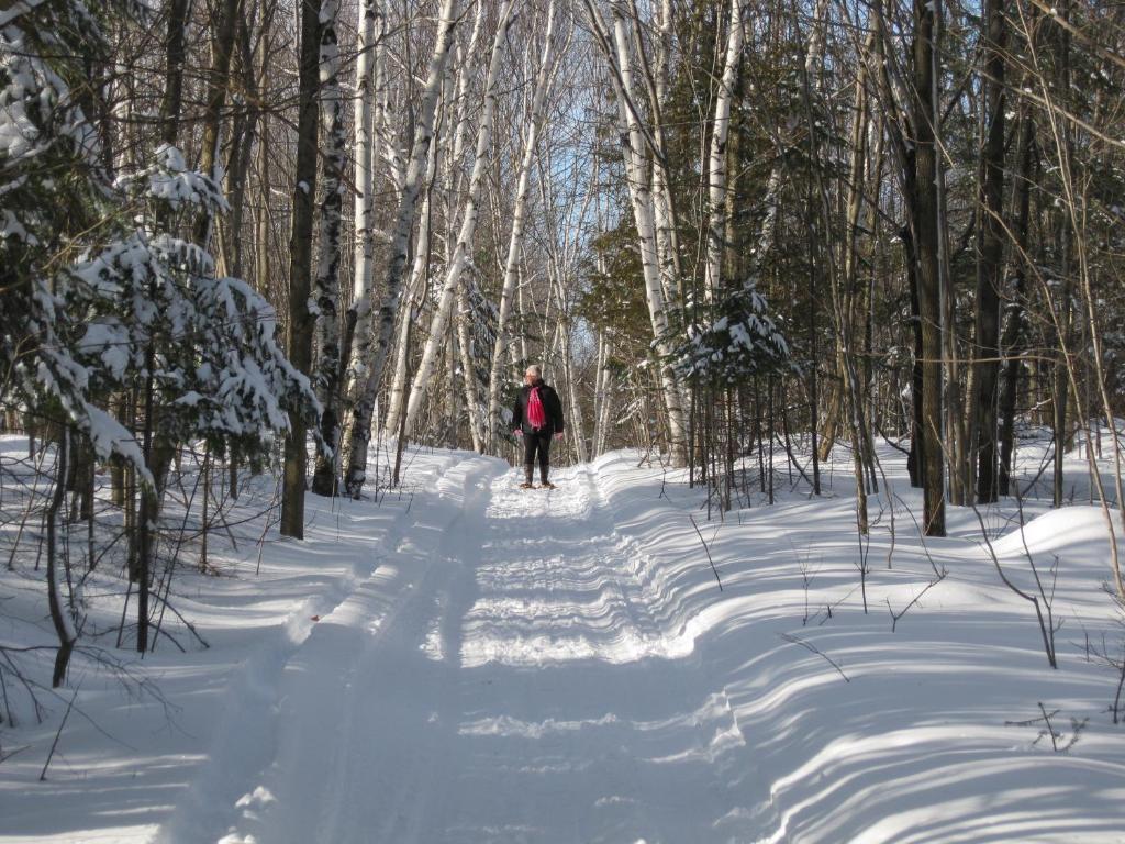Heather Lodge Minden Luaran gambar