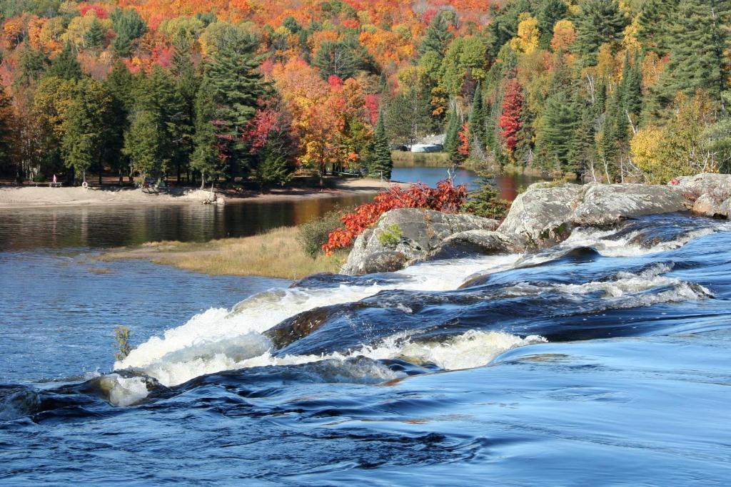 Heather Lodge Minden Luaran gambar